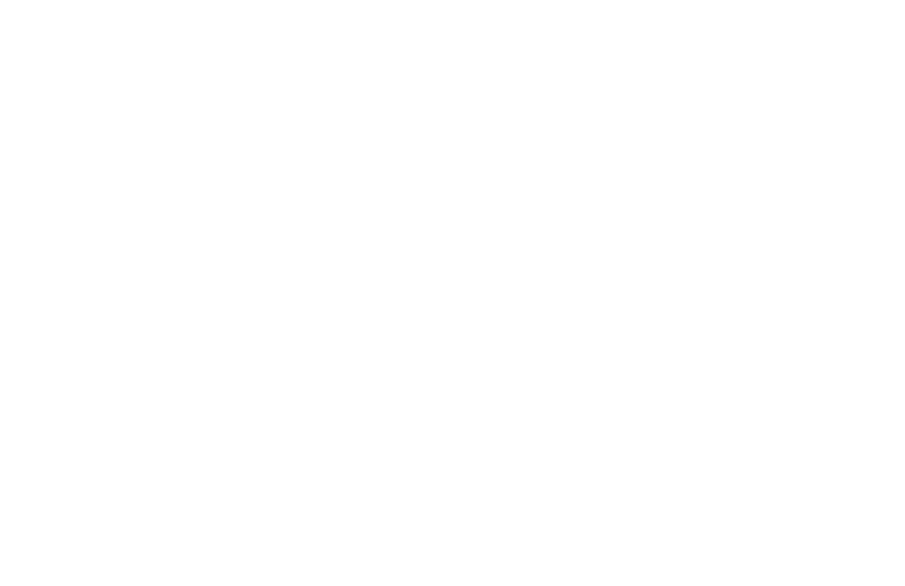 Saddlebrook Logo